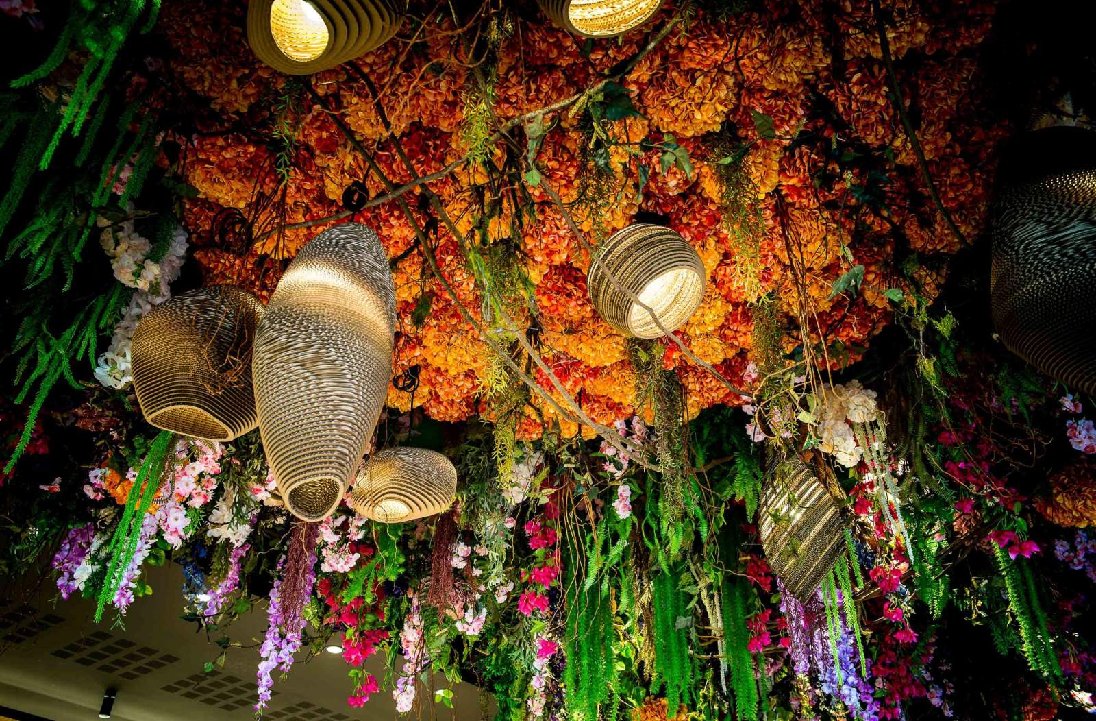 Brasserie Chanteclair photo 5